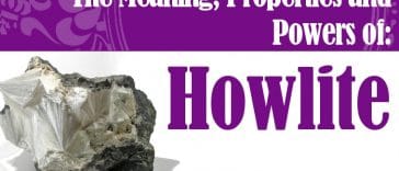 How to use Howlite?