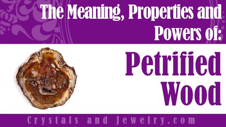 Petrified Wood: Meanings, Properties and Powers