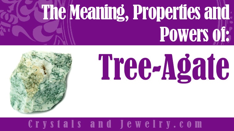 Tree-Agate: Meanings, Properties and Powers