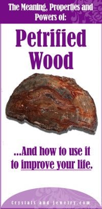 petrified wood meaning