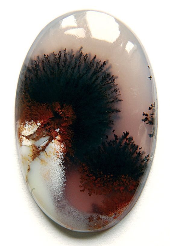  Signification de l'Agate dendritique