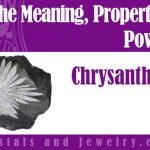 chrysanthemum stone meaning