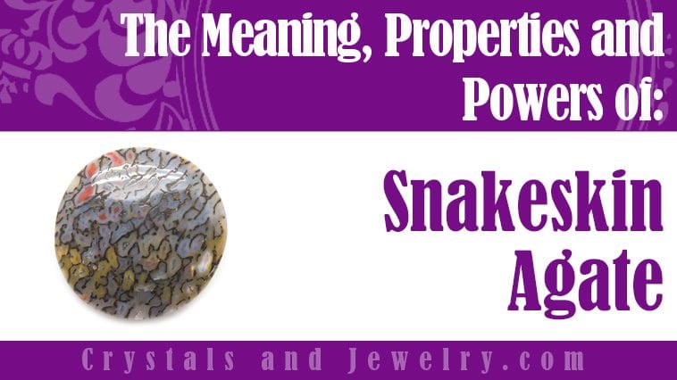 snakeskin agate meaning