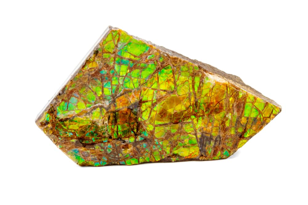 Ammolite Healing Stone Crystal