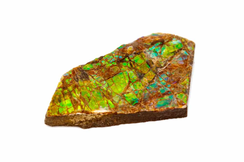 Ammolite