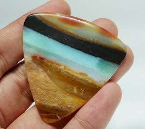 Petrified Wood jewelry