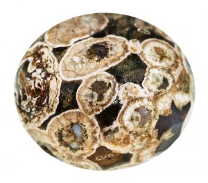 white ocean jasper properties